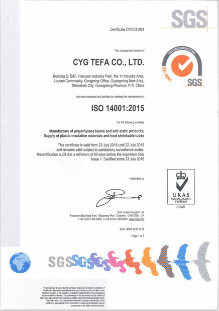 China Cyg Tefa Co., Ltd. Zertifizierungen